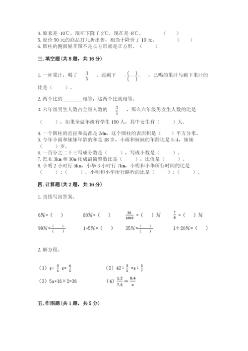 安庆市迎江区六年级下册数学期末测试卷带答案.docx