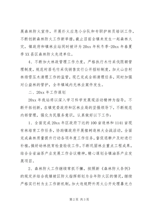 乡镇林业站工作总结及工作计划.docx