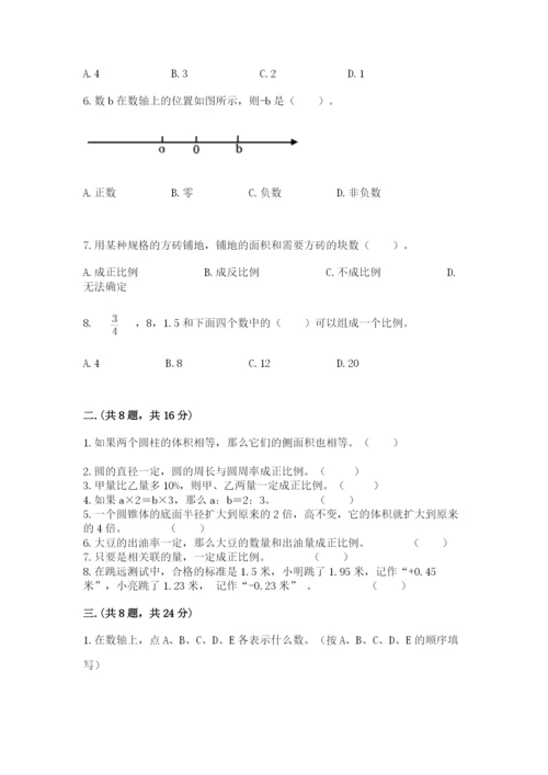 北师大版数学小升初模拟试卷【典优】.docx