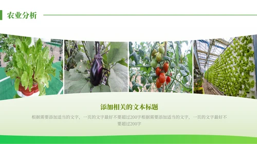 绿色发展生态农业项目报告通用PPT模板