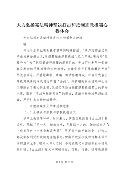 大力弘扬宪法精神坚决打击和抵制宗教极端心得体会 (2).docx