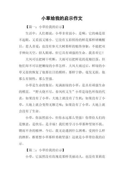 小草给我的启示作文.docx