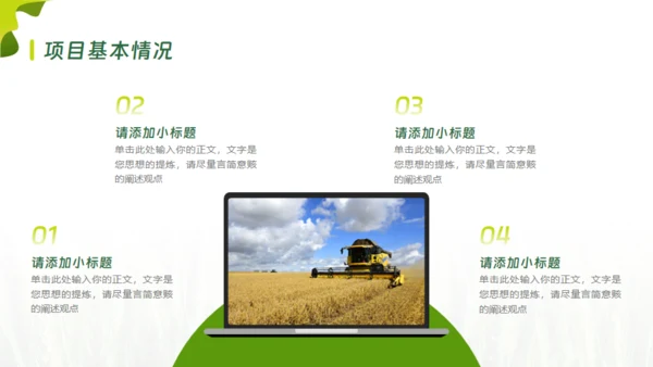 乡村振兴项目工作报告通用PPT模板