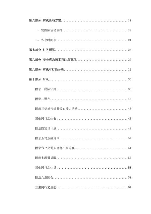 甘霖暑期社会实践队策划书.docx