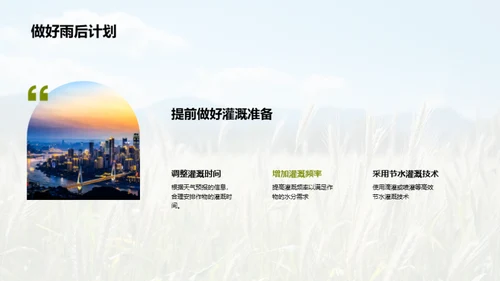 夏至气候与农业