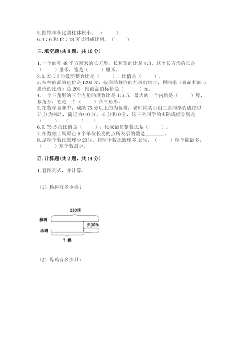 廊坊市大厂回族自治县六年级下册数学期末测试卷a4版.docx