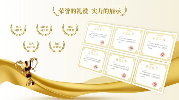 金色简约风证书排版PPT版式合集