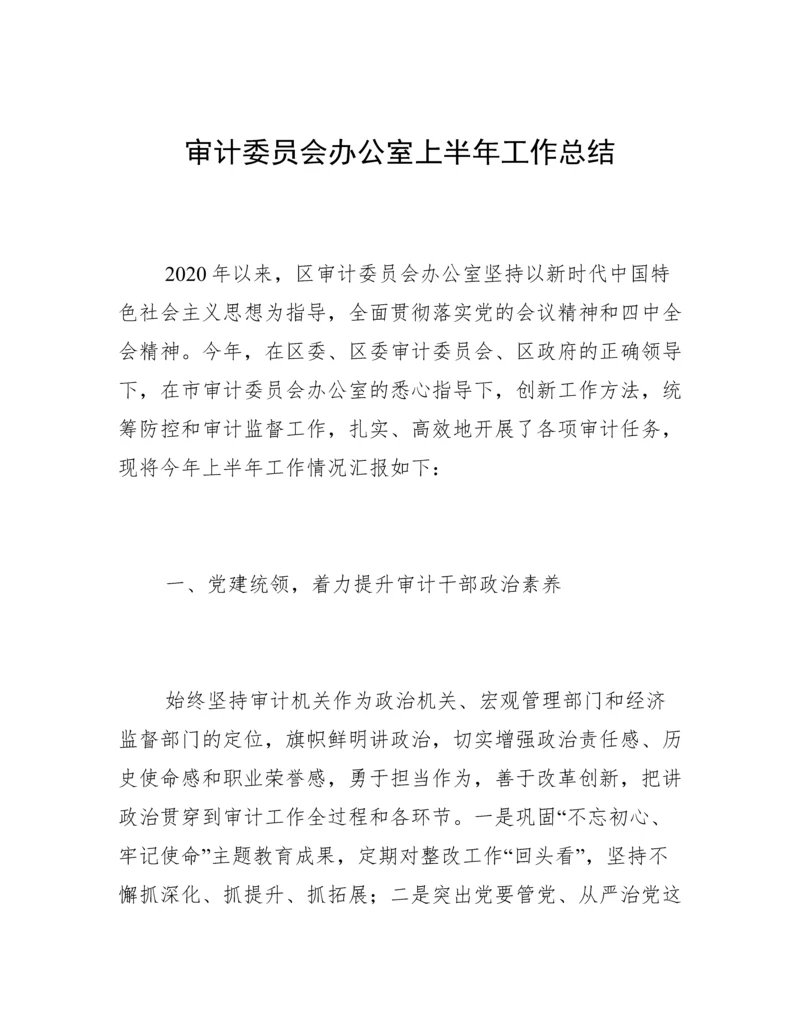 审计委员会办公室上半年工作总结.docx