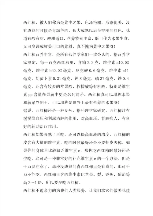 番茄说明文范文600字5篇