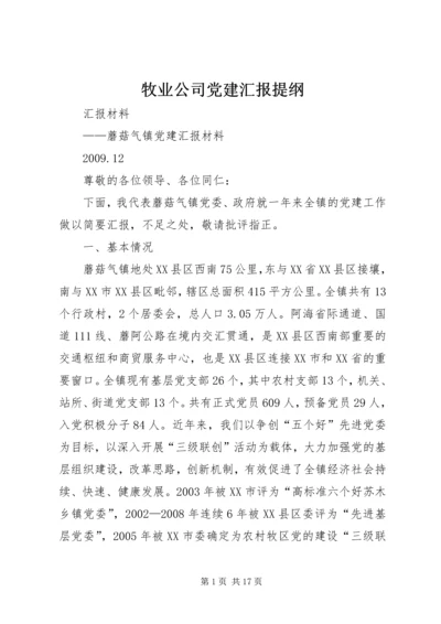 牧业公司党建汇报提纲精选.docx