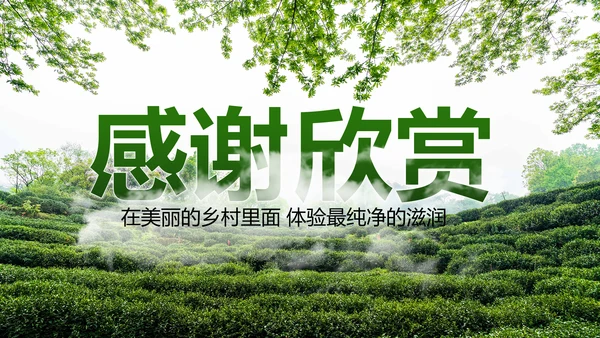 最美乡村乡村旅游美丽乡村新农村建设PPT