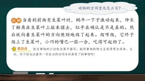统编版语文三年级上册 第五单元习作： 我们眼中的缤纷世界课件