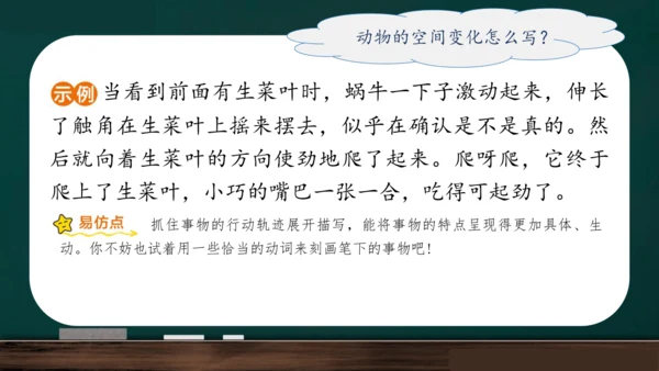 统编版语文三年级上册 第五单元习作： 我们眼中的缤纷世界课件