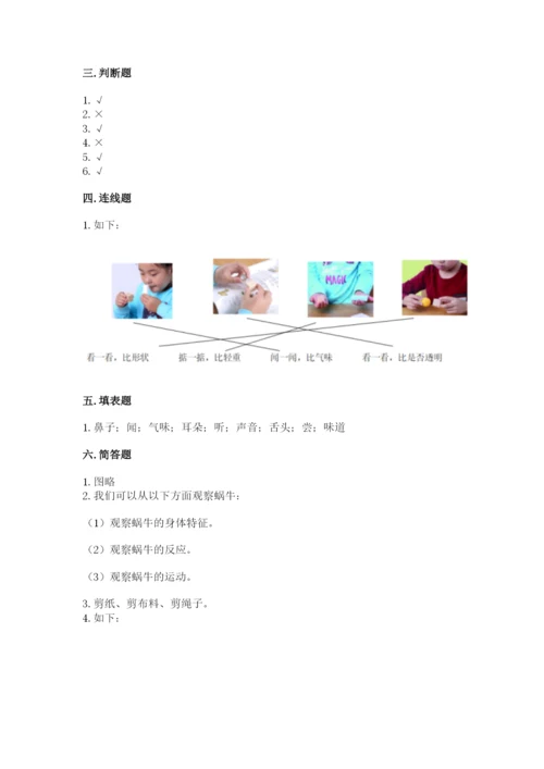 教科版小学科学一年级下册期末测试卷及参考答案（综合题）.docx