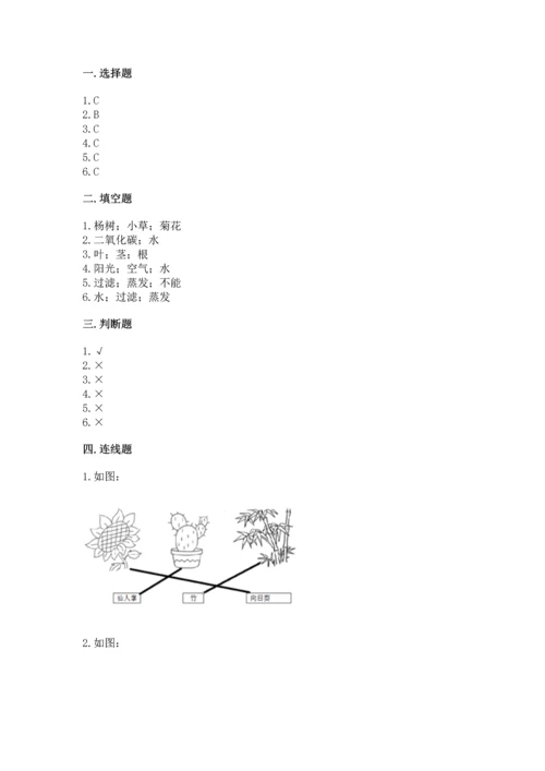教科版科学一年级上册第一单元《植物》测试卷及答案【网校专用】.docx