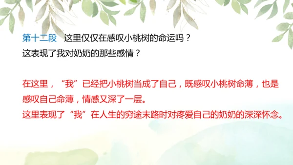 第19课 一棵小桃树 课件(共24张PPT)