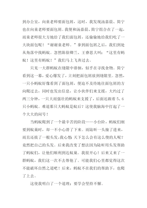 观察蚂蚁的日记.docx