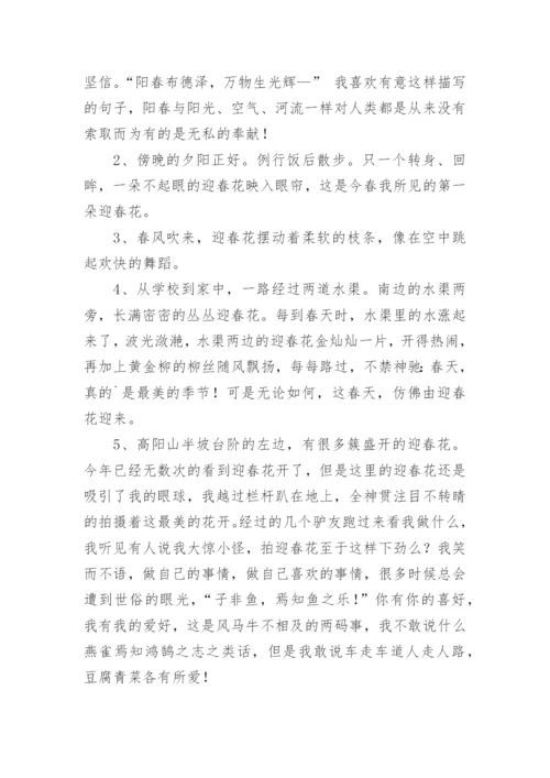 描写迎春花的优美句段.docx