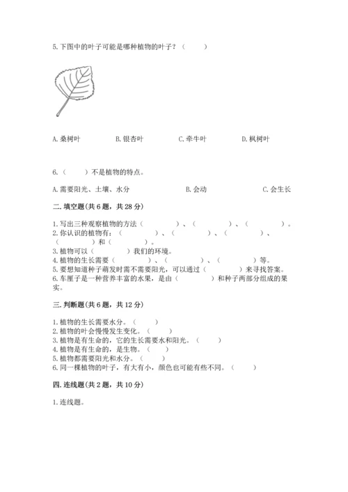 教科版科学一年级上册第一单元《植物》测试卷及完整答案1套.docx