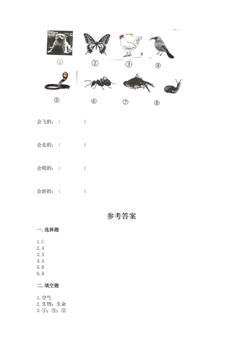 教科版一年级下册科学期末测试卷【中心小学】.docx