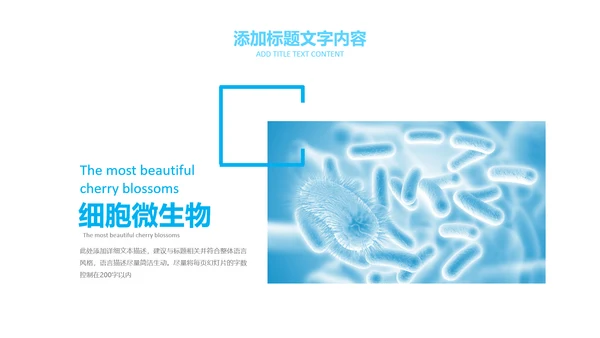 医疗细菌病毒微生物细胞组织动态ppt模板