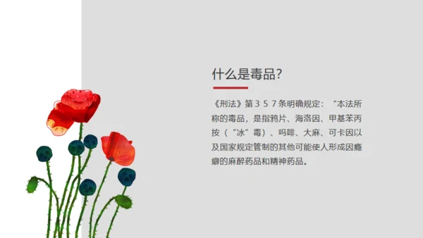青少年禁毒宣传安全教育通用PPT模板