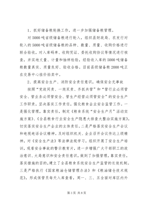 粮食局XX年上半年工作总结及下半年工作安排.docx