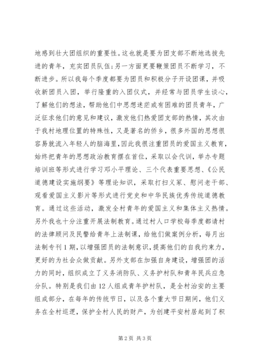 村团支部书记工作总结团支部书记个人工作总结与计划.docx