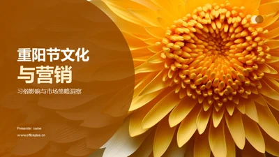 重阳节文化与营销