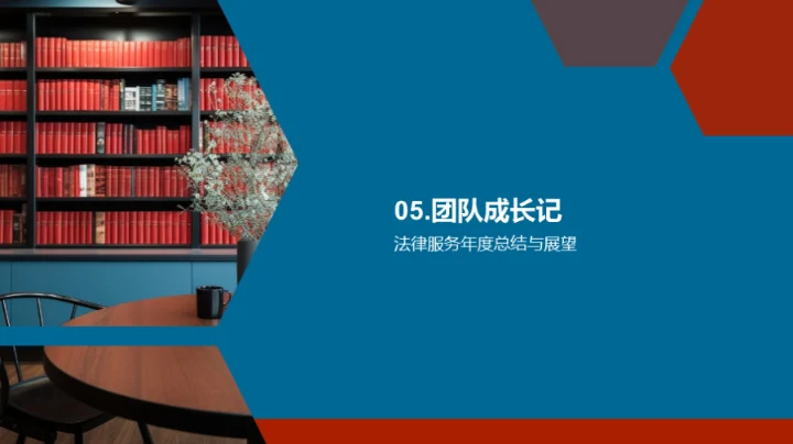 律师年度工作综述