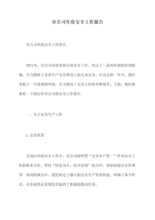 分公司年度安全工作报告