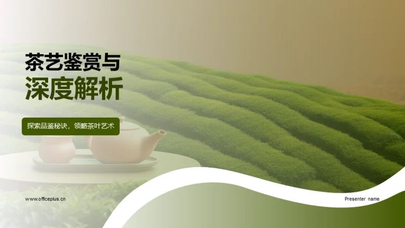 茶艺鉴赏与深度解析