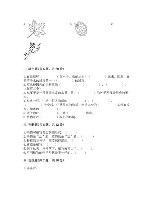 教科版科学一年级上册第一单元《植物》测试卷1套.docx