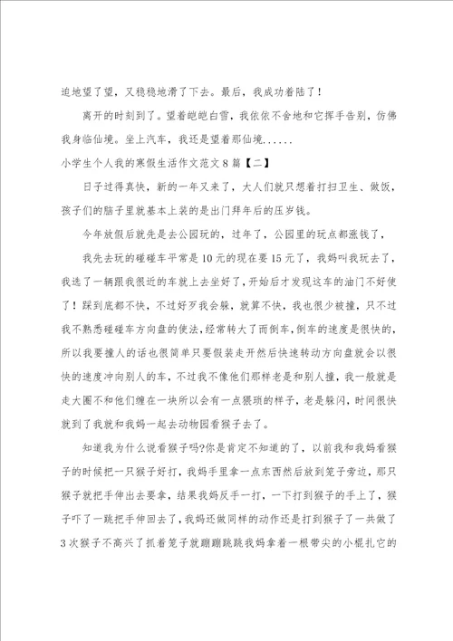 小学生个人我的寒假生活作文范文8篇