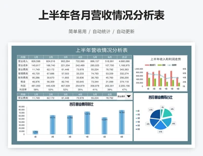 上半年各月营收情况分析表