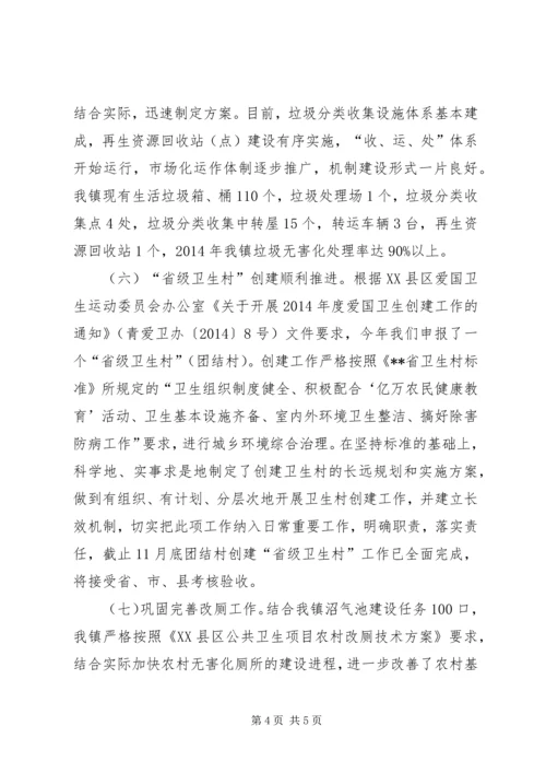 城乡环境综合治理目标完成情况自查报告.docx