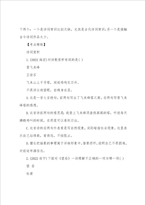 中考语文总复习资料诗词赏析