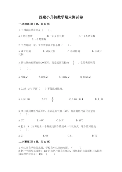 西藏小升初数学期末测试卷精选.docx