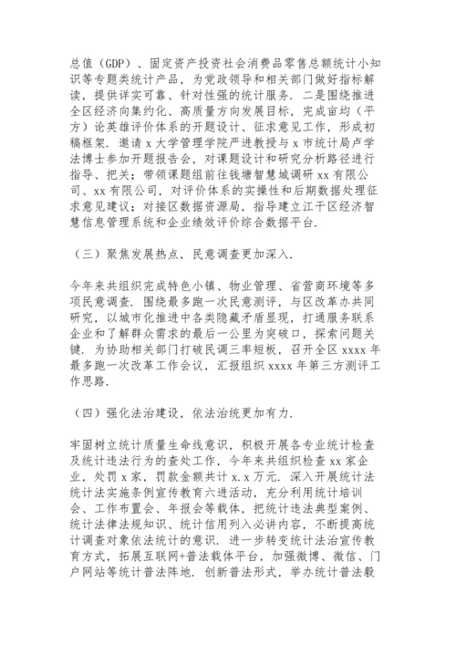 区统计局2021年上半年工作总结及下半年工作安排.docx