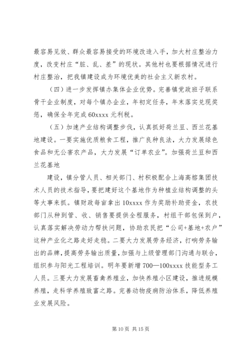 乡镇某年度工作总结及某年工作计划.docx