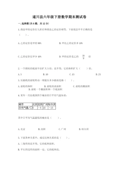 遂川县六年级下册数学期末测试卷及答案一套.docx