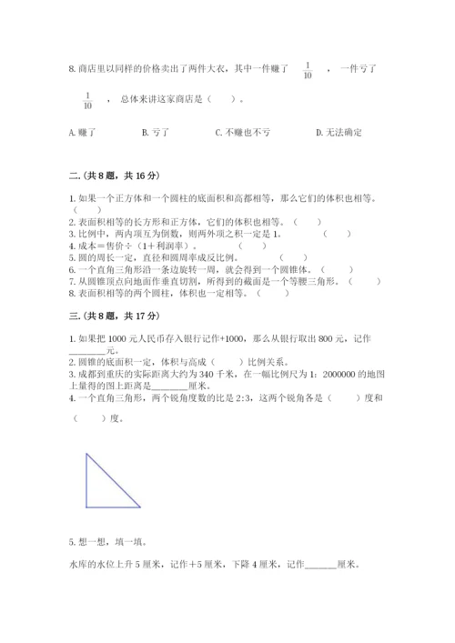 小升初数学综合练习试题及参考答案（培优b卷）.docx