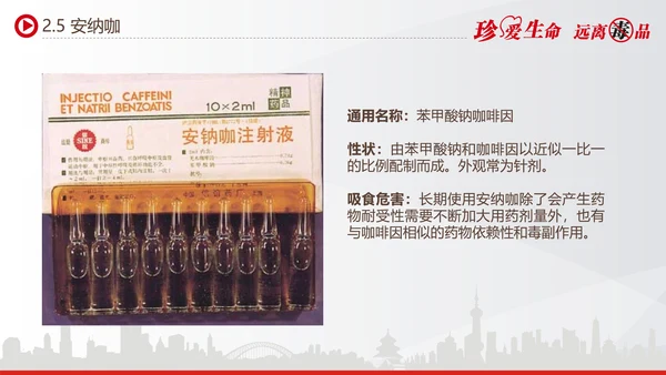 世界禁毒日宣传禁毒知识教学PPT模板