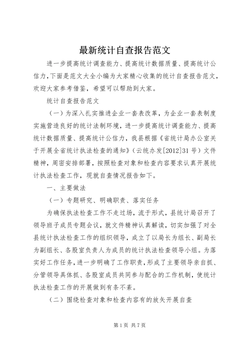 最新统计自查报告范文.docx