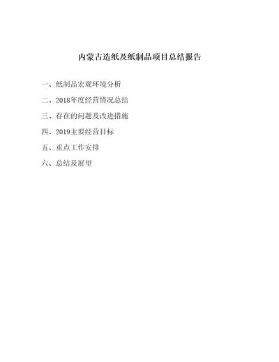 内蒙古造纸及纸制品项目总结报告