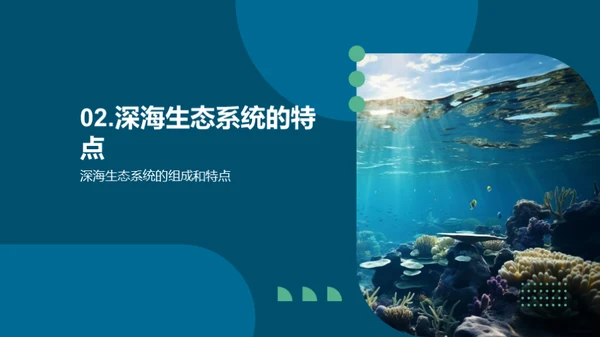 揭秘深海生物奥秘