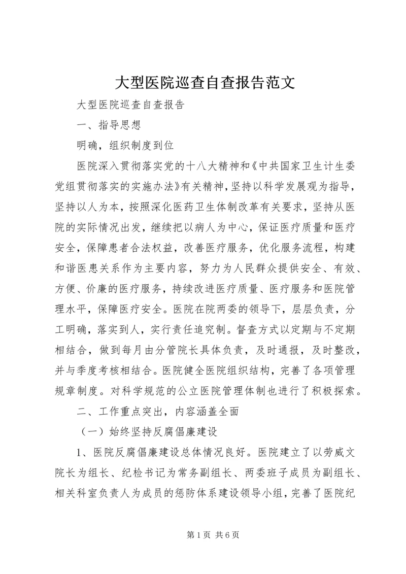 大型医院巡查自查报告范文.docx