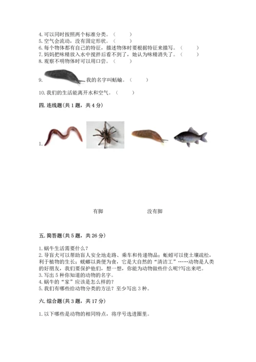 教科版一年级下册科学期末测试卷及参考答案（巩固）.docx