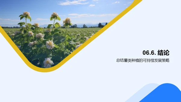 绿色薯种：环保农业