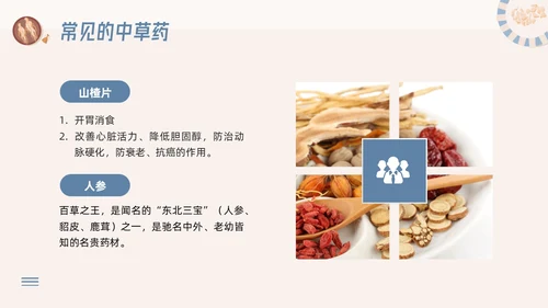 蓝色简约神奇中药草PPT模板宣传PPT动态PPT中医药